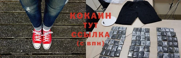 крисы Белокуриха