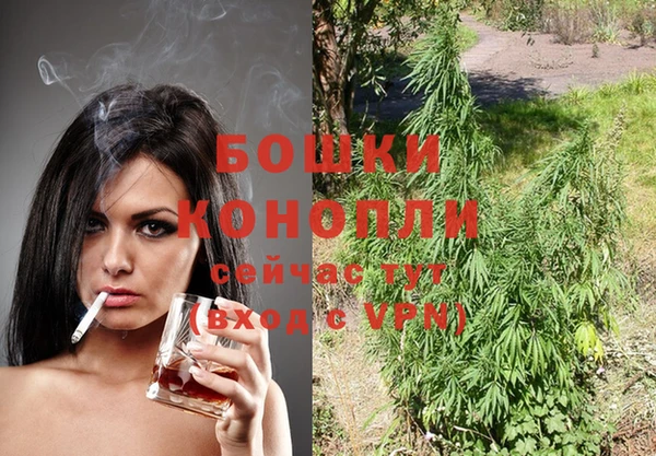 крисы Белокуриха