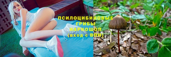 прущая мука Белоозёрский