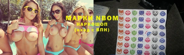 крисы Белокуриха