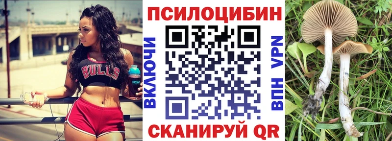 наркошоп  kraken ССЫЛКА  Галлюциногенные грибы мицелий  shop официальный сайт  Медвежьегорск 